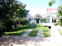 fotos
